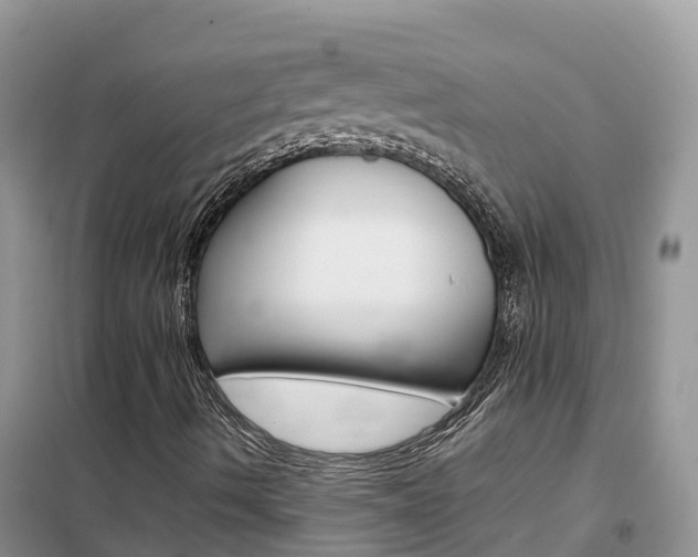 X0000102371490200808011011