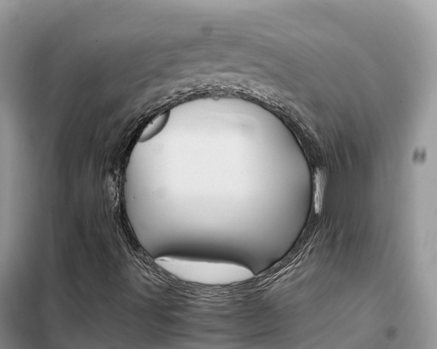 X0000102371491200808011011