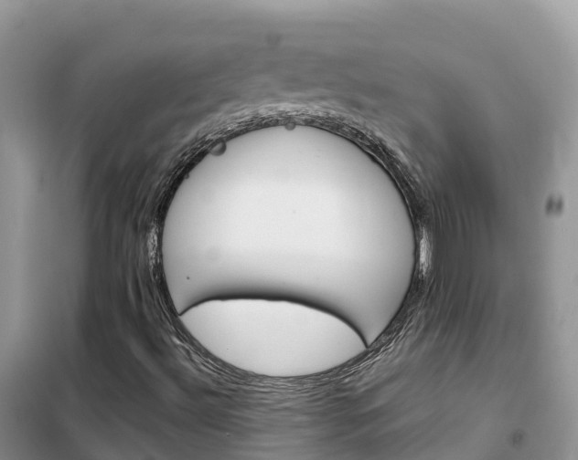 X0000102371492200808011011