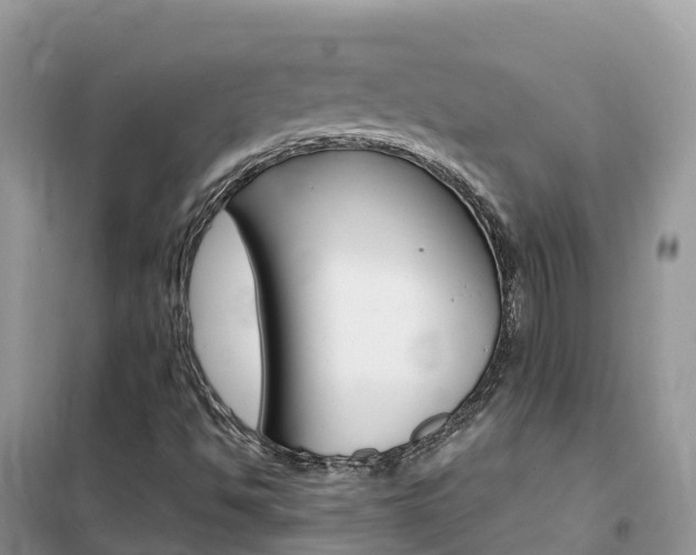 X0000102371494200808011011