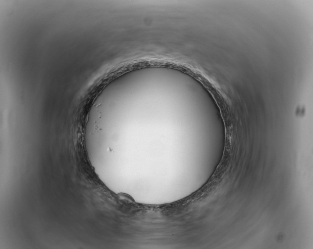 X0000102371495200808011011