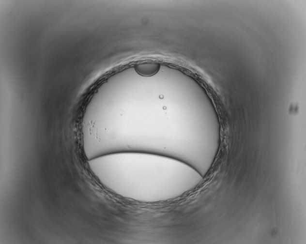 X0000102371496200808011011