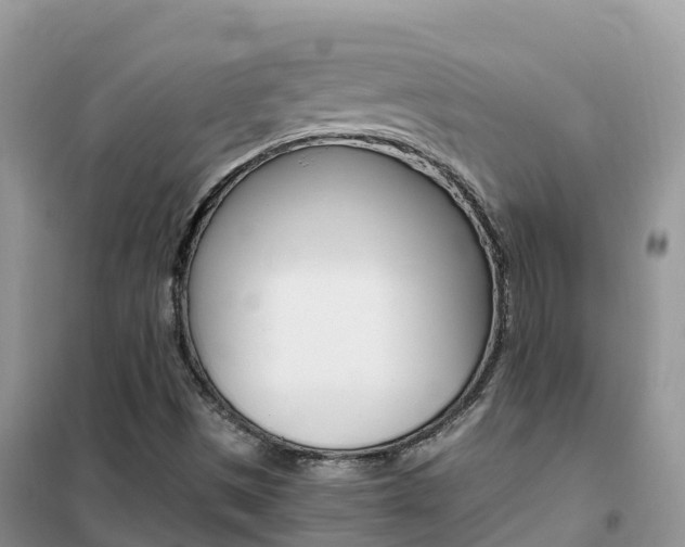 X0000102371497200808011011