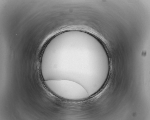 X0000102371498200808011011