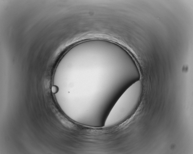 X0000102371499200808011011