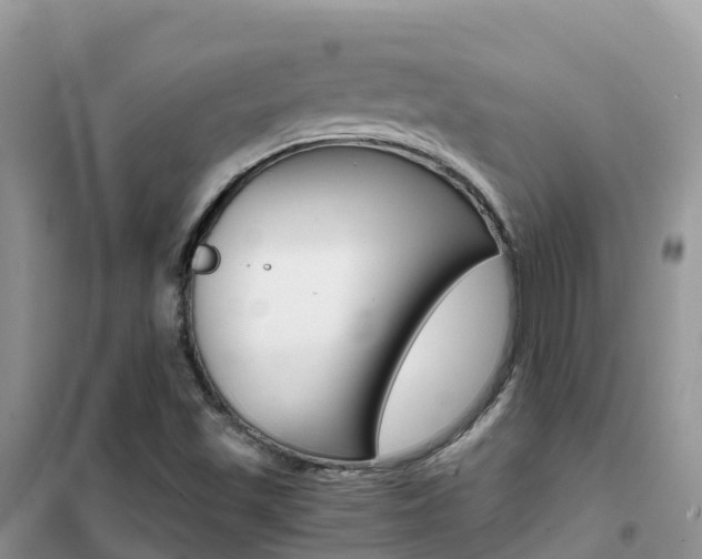 X0000102371501200808011011