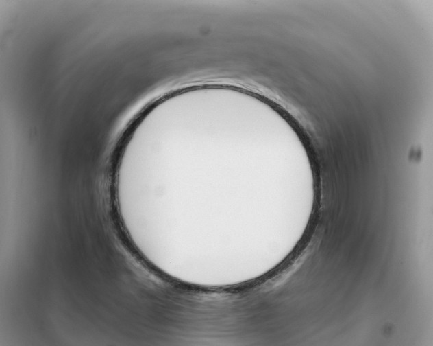 X0000102371502200808011011