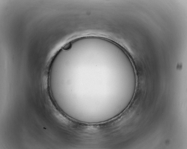 X0000102371504200808011011