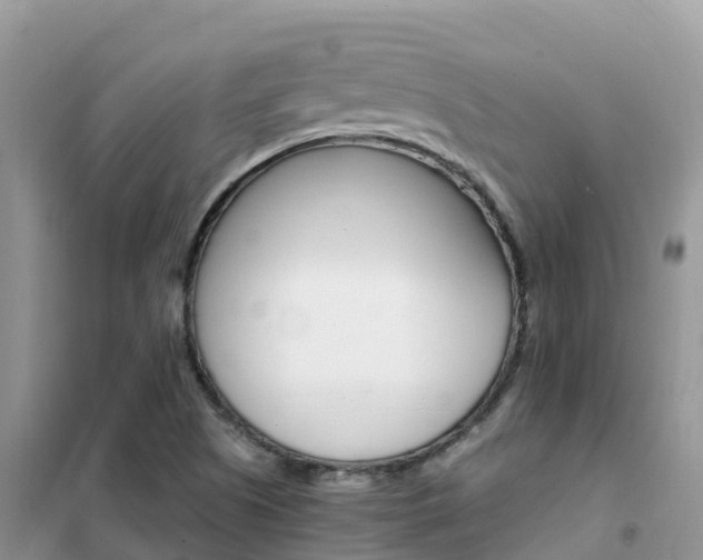 X0000102371505200808011011