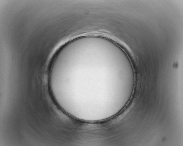X0000102371506200808011011