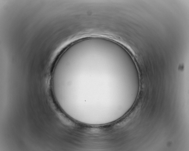 X0000102371507200808011011