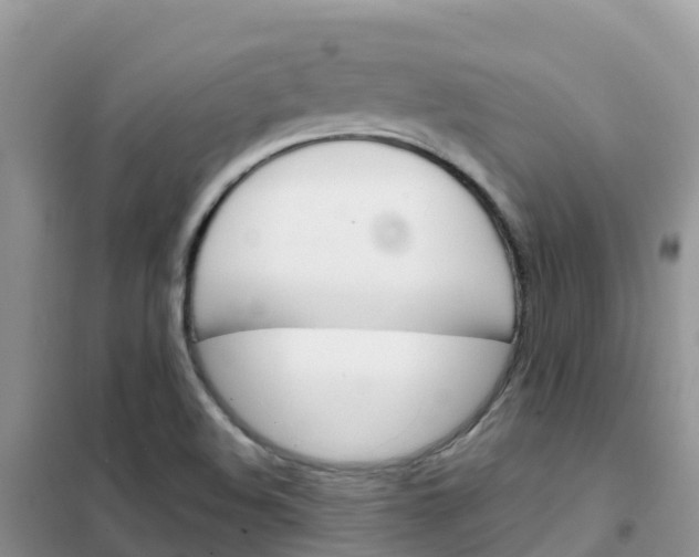 X0000102371508200808011011
