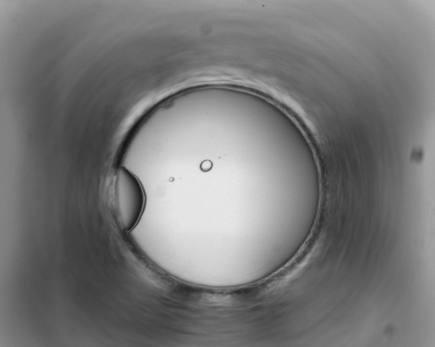 X0000102371509200808011011