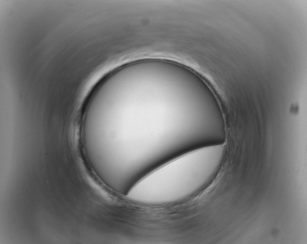 X0000102371511200808011011