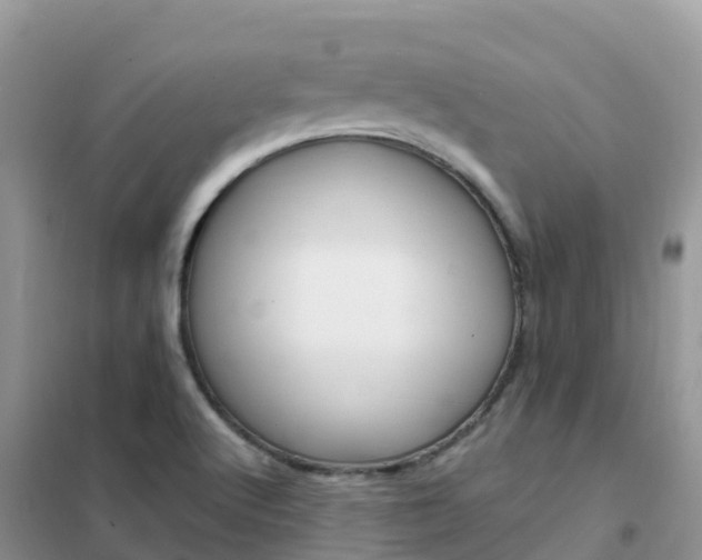 X0000102371512200808011011