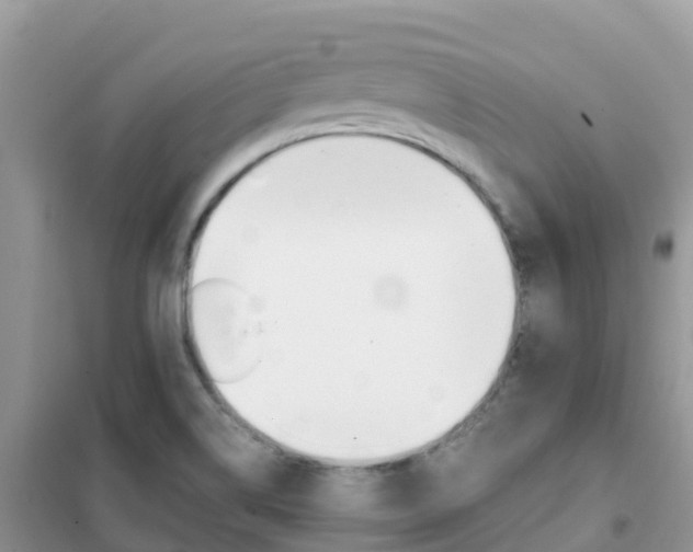 X0000102371514200808011011
