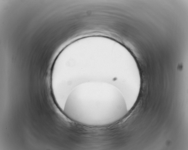 X0000102371516200808011011