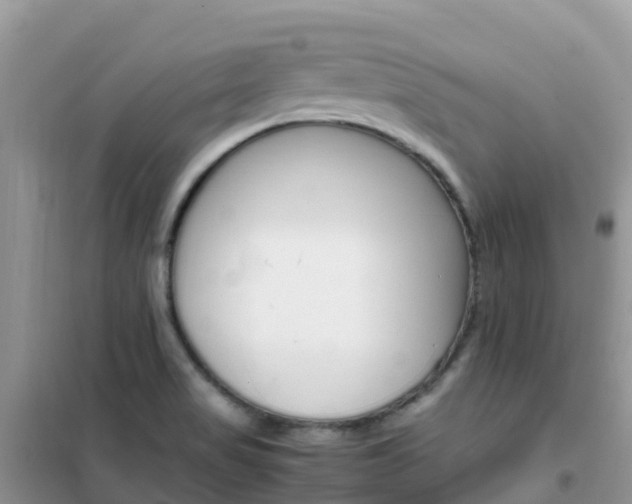 X0000102371517200808011011