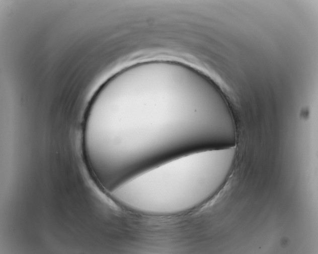 X0000102371518200808011011