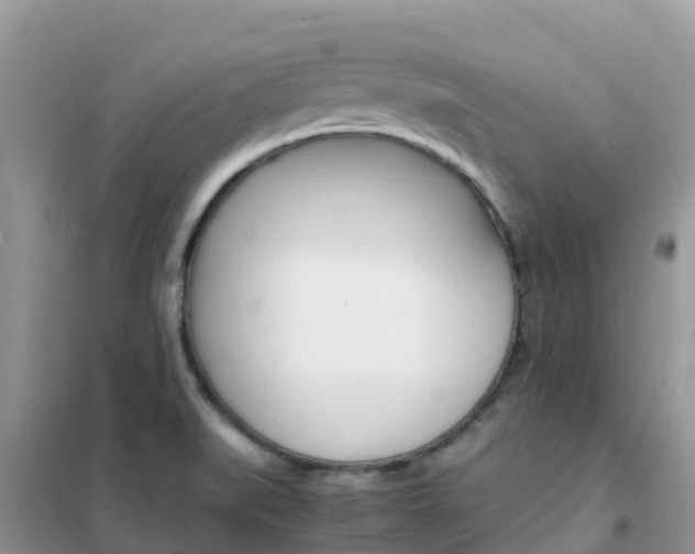 X0000102371519200808011011