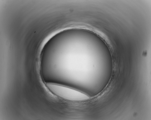 X0000102371520200808011011