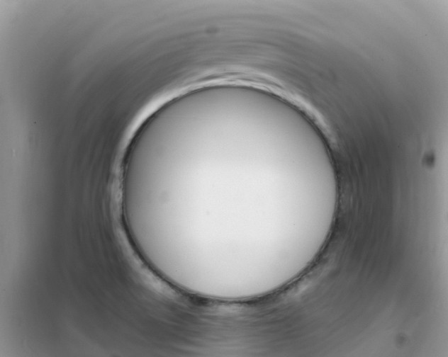 X0000102371522200808011011