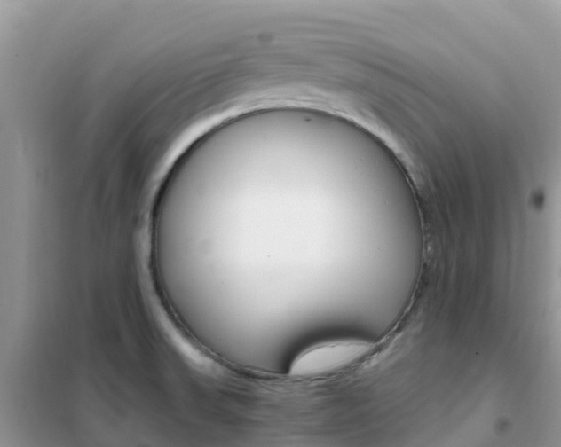 X0000102371523200808011011