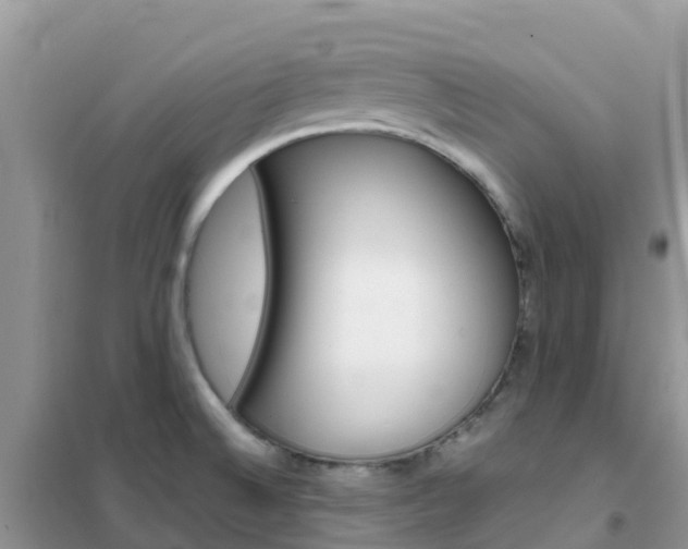 X0000102371524200808011011
