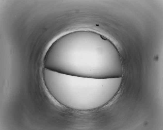 X0000102371526200808011011