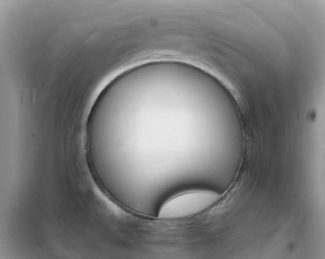 X0000102371527200808011011