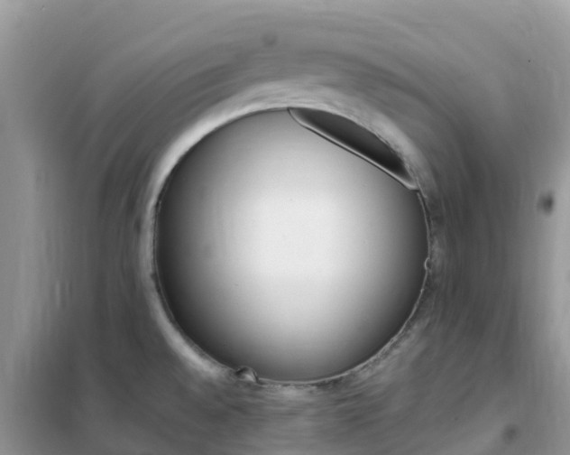 X0000102371528200808011011