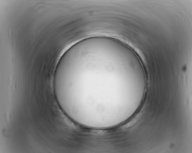 X0000102371529200808011011