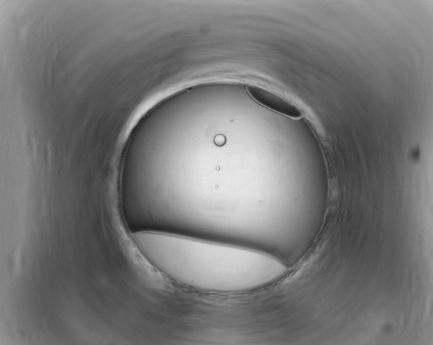 X0000102371530200808011011