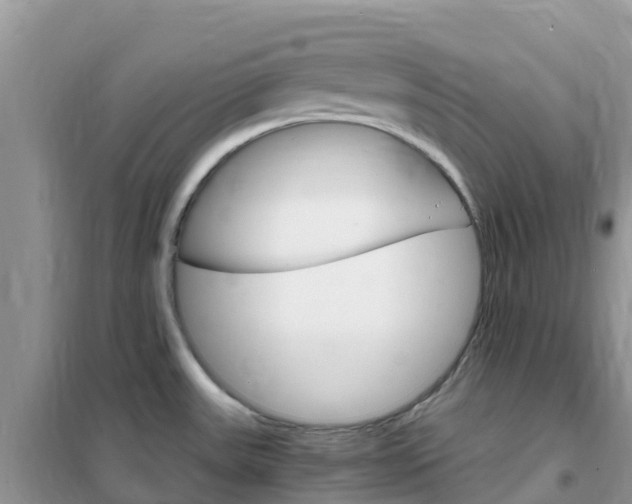 X0000102371531200808011011