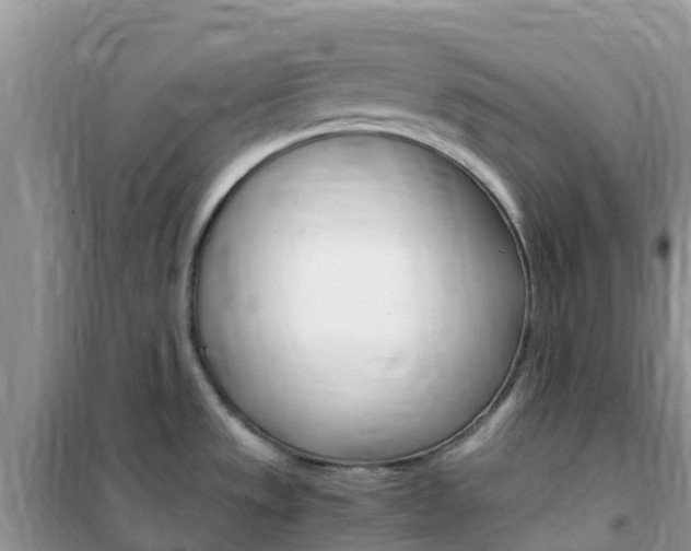 X0000102371533200808011011