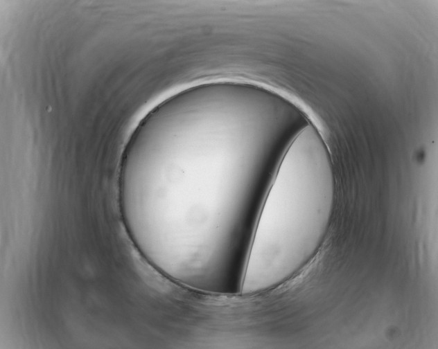 X0000102371534200808011011