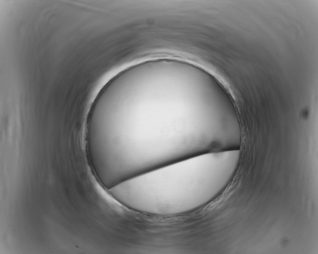 X0000102371535200808011011
