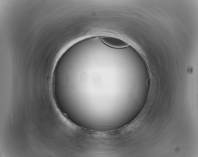 X0000102371536200808011011