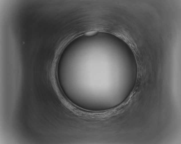 X0000102370001200808011523