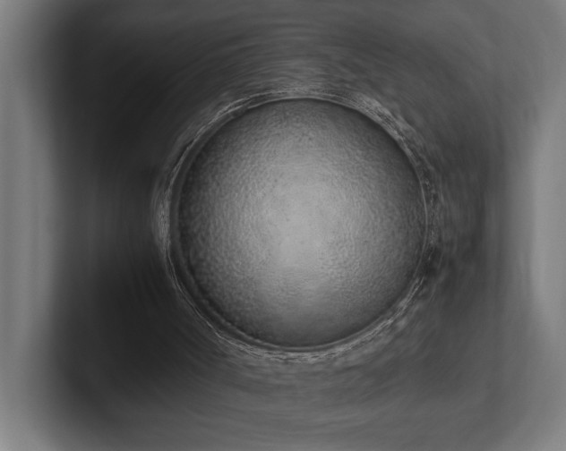 X0000102370002200808011523