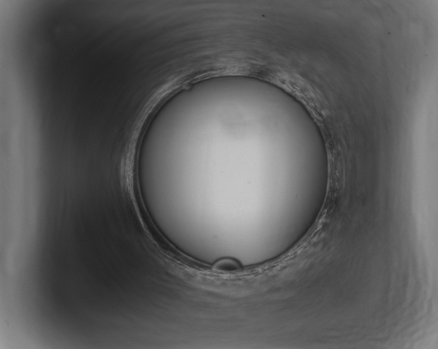 X0000102370003200808011523