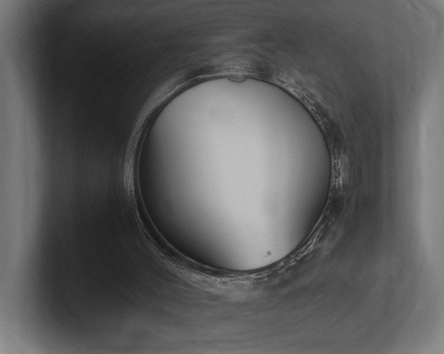 X0000102370004200808011523
