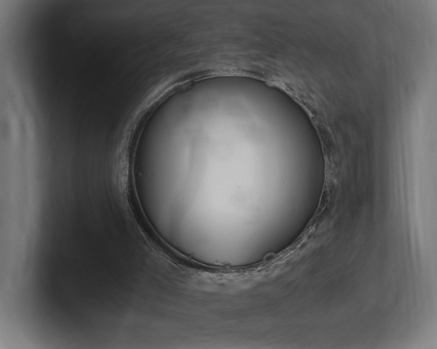 X0000102370005200808011523