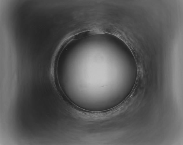 X0000102370006200808011523