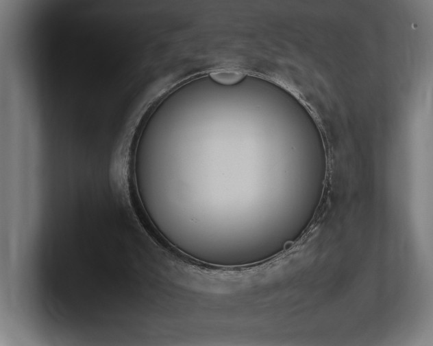 X0000102370007200808011522