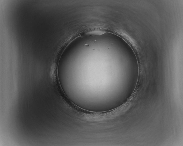 X0000102370009200808011522