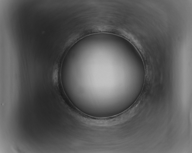 X0000102370010200808011522