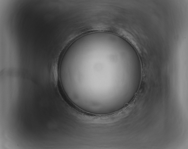 X0000102370011200808011522