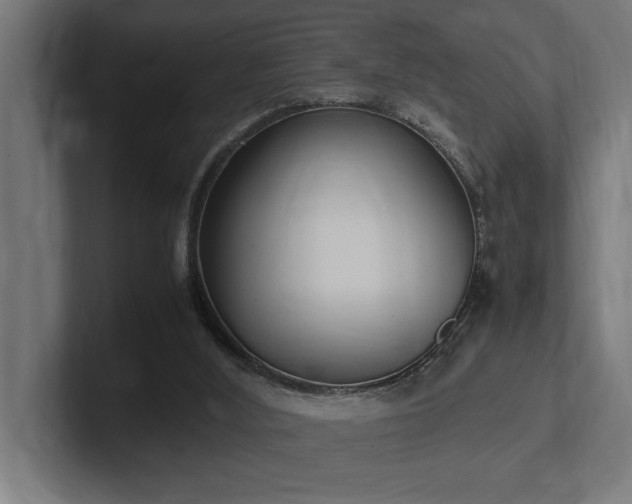X0000102370012200808011522