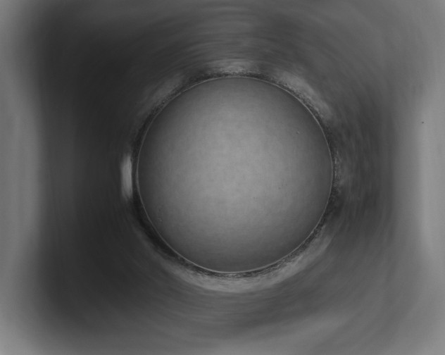 X0000102370014200808011522